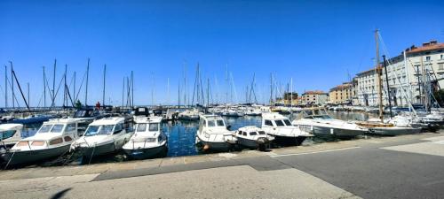 V Piranu z uspešnimi učenci